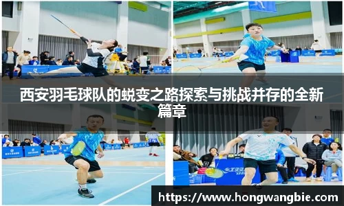 西安羽毛球队的蜕变之路探索与挑战并存的全新篇章